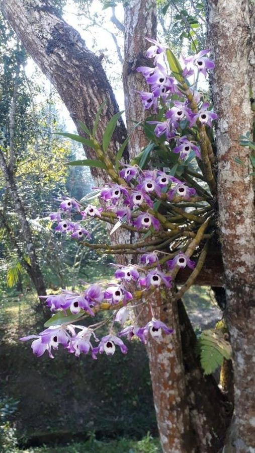 IcatuacuChacara Da Promessa De Deus别墅 外观 照片