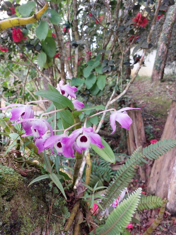IcatuacuChacara Da Promessa De Deus别墅 外观 照片